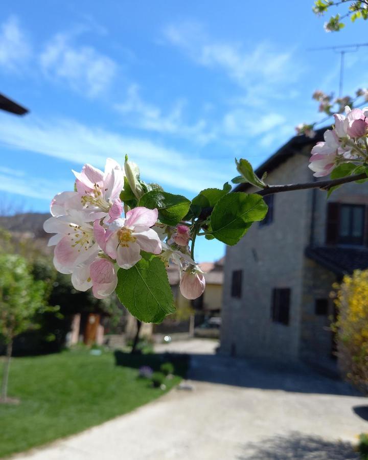Ponte NizzaLa Pomella别墅 外观 照片